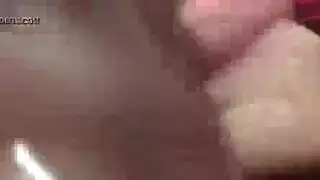 قزمة صغير ديك آسيا