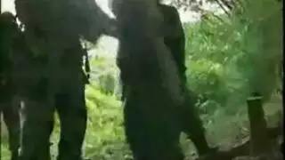 فتاة الكرتون س تأخذه بعمق