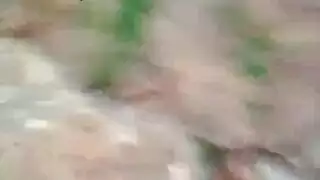 نيك طياز جميلات