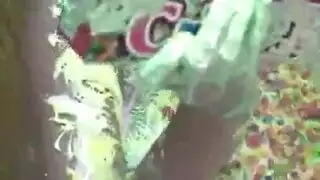 جنس حار جنوب الحدود