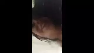 برااز