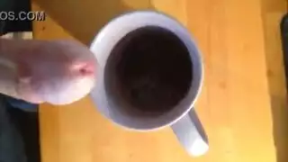 دسار ضخمة وقحة