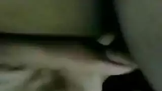 زياد في مشهد إباحي صريح