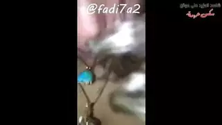 إباحية مصرية قاسية: شرج خشن وتدمير مهبل