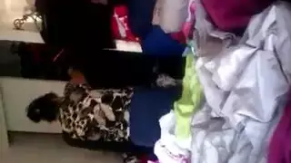 تبادل أدوار الأب مع جنس جماعي قاسي
