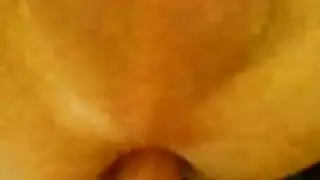 ممارسة مع حيوان عنيفة: حصان ينيك فرج محلوق ضيق