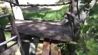 ينيك امه بالحديقة