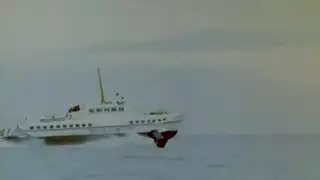 أشد الجنس إثارة 2019: بلل غزير وجموح جامح