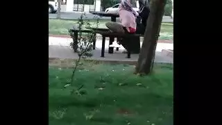استراحة الربيع التقويم هاتف