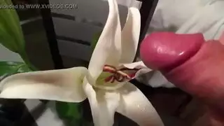 شقراء زلقة تقدم أداءً صريحًا على نقش زهري
