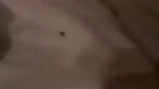 زوجة جائعة للقضيب تمص زائرًا بشغف