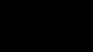 يحصل مسمر عبر بحار مع الديك