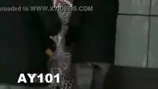 شيمل تتعرض لتدمير شرجي