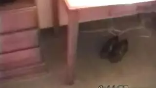 هاوٍ يلعق وجهها كله بلعق لسان مبلل