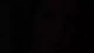 باكستاني حسي الوردي الهرة