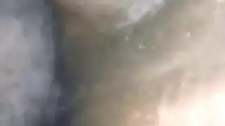 زميله في الجزيرة ، يطرح ملاك فضيات في ملابسها الداخلية