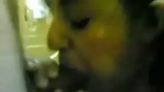 جوي فيشر