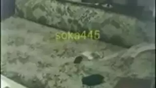 رباب من إمبابة: 90 دقيقة كاملة من النيك الخام دون قطع