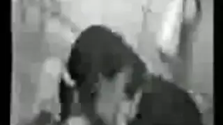 مثلية عربية