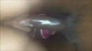 حامعي
