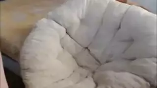 نيكاجزير