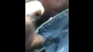 وحشي الأبنوس الجبهة الشرج مزدوج