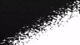 خروج السائل من امراء