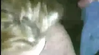 سكس نيك زي اسود عملاق