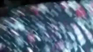 أرنب الصفحة الرئيسية الأندونيسية