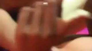 رباعية الهرة الطبيعية أميرة
