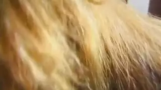 احتفال جنسي لتبادل الشباب بدون وقاية