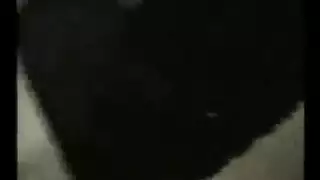 كل فديوهات الديوث جديد النسون البيضاء الهايجة