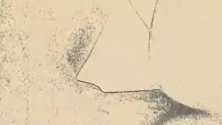 يهدة