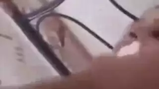 بوسني من بؤي