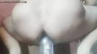 شعر قصير الشرج اللعنة الدومينيكان