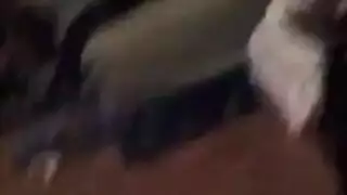 نيك وذل المحترمه