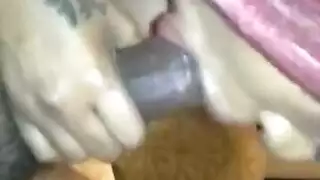 خدمة الفم المصرية تقبل الحمولة الكاملة