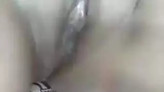 لعبة ضخمة الوردي الهرة