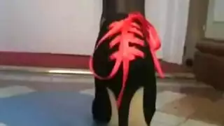 جوارب طويلة اليابانية الجنس الشرجي شريحة