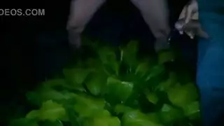 تنزيل في الجهاز