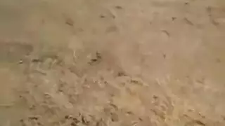 دكتور حاتم النهود