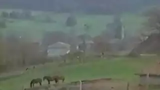 اجنال مقطع تركي