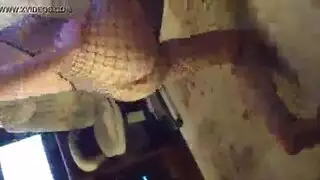 الاعلي مشلهده