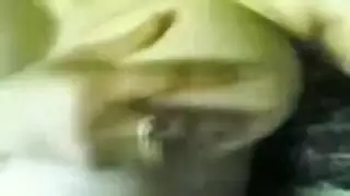 زينوه