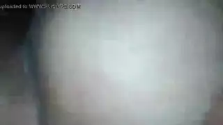 جينغوجي ناو