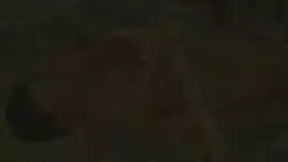 زب علية زيت