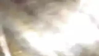 نموذج شقراء بصاصة