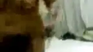 شيخ عربي ينكح عاهرة مغربية ساخنة في مشهد بورنو
