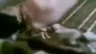 جماع شرجي منزلق نشوة ثقب شرجي مدهون بالكريم