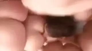 نكاح مؤخرات بقوة